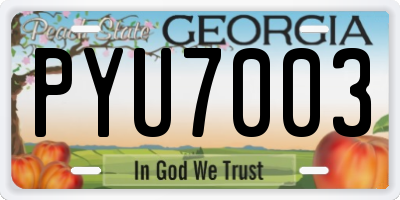 GA license plate PYU7003