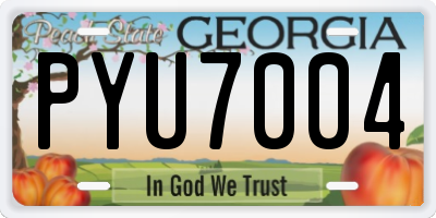 GA license plate PYU7004