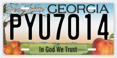 GA license plate PYU7014