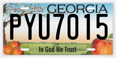GA license plate PYU7015