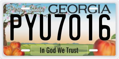 GA license plate PYU7016