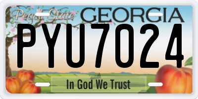 GA license plate PYU7024