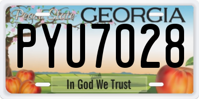GA license plate PYU7028