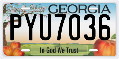 GA license plate PYU7036
