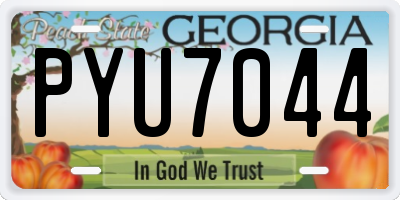 GA license plate PYU7044