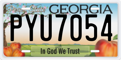 GA license plate PYU7054
