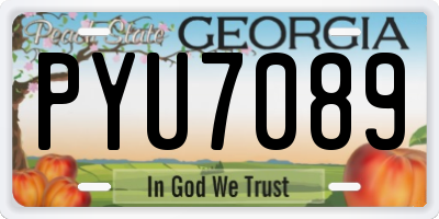 GA license plate PYU7089