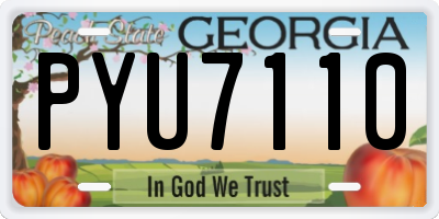 GA license plate PYU7110