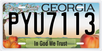GA license plate PYU7113