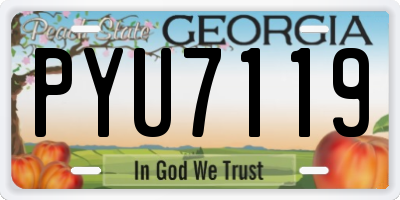 GA license plate PYU7119