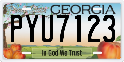 GA license plate PYU7123