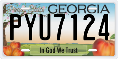 GA license plate PYU7124