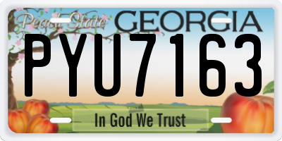GA license plate PYU7163