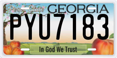 GA license plate PYU7183