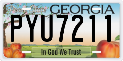 GA license plate PYU7211
