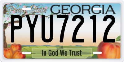 GA license plate PYU7212
