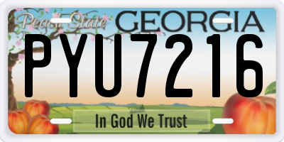 GA license plate PYU7216