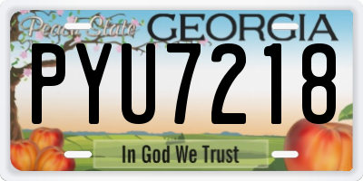 GA license plate PYU7218