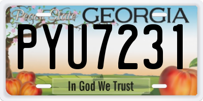 GA license plate PYU7231