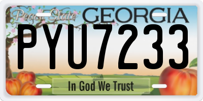 GA license plate PYU7233