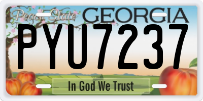 GA license plate PYU7237