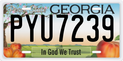 GA license plate PYU7239