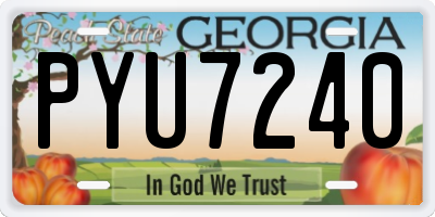 GA license plate PYU7240