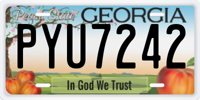 GA license plate PYU7242