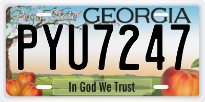 GA license plate PYU7247