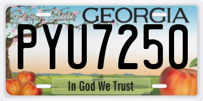 GA license plate PYU7250
