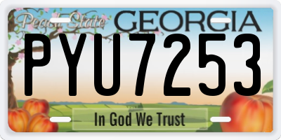 GA license plate PYU7253
