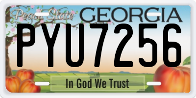 GA license plate PYU7256