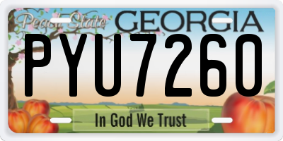 GA license plate PYU7260