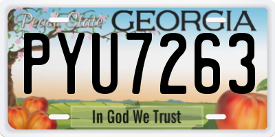 GA license plate PYU7263