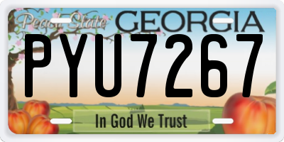 GA license plate PYU7267