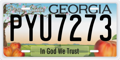 GA license plate PYU7273