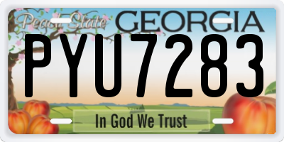 GA license plate PYU7283