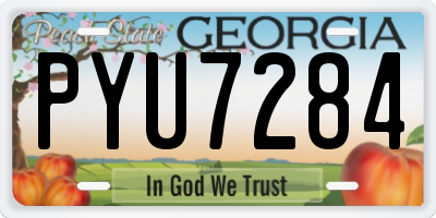 GA license plate PYU7284