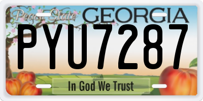 GA license plate PYU7287
