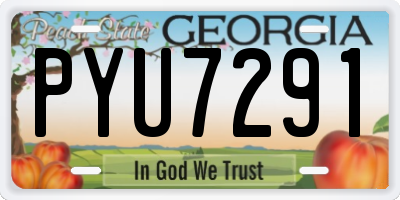 GA license plate PYU7291