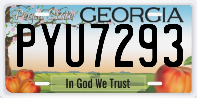 GA license plate PYU7293