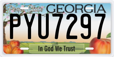 GA license plate PYU7297
