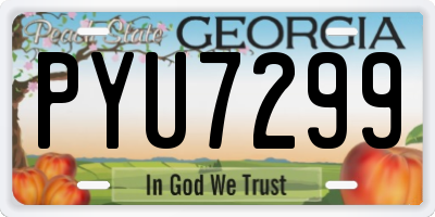 GA license plate PYU7299