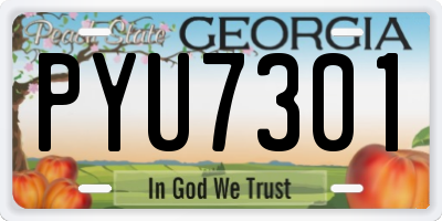 GA license plate PYU7301
