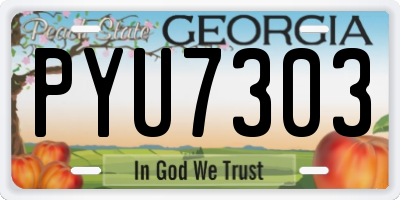 GA license plate PYU7303