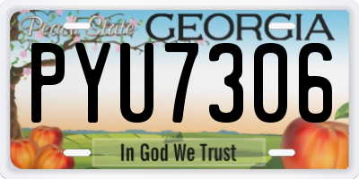 GA license plate PYU7306