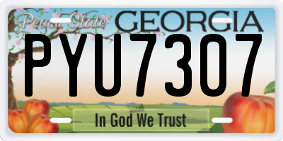 GA license plate PYU7307