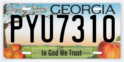 GA license plate PYU7310