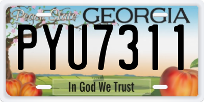 GA license plate PYU7311