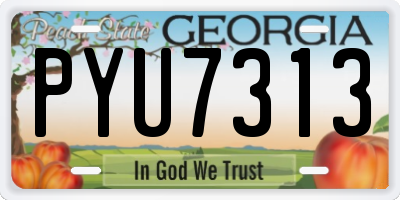 GA license plate PYU7313